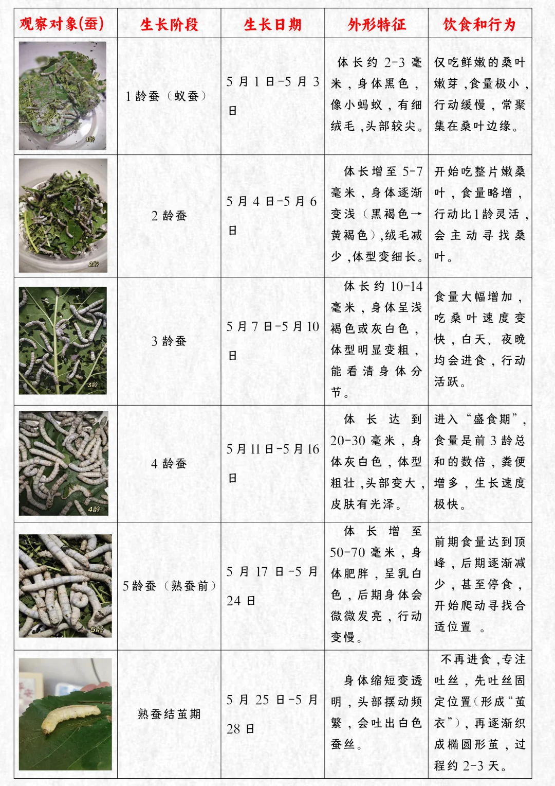四上语文习作写观察日记范文植物观察记录表