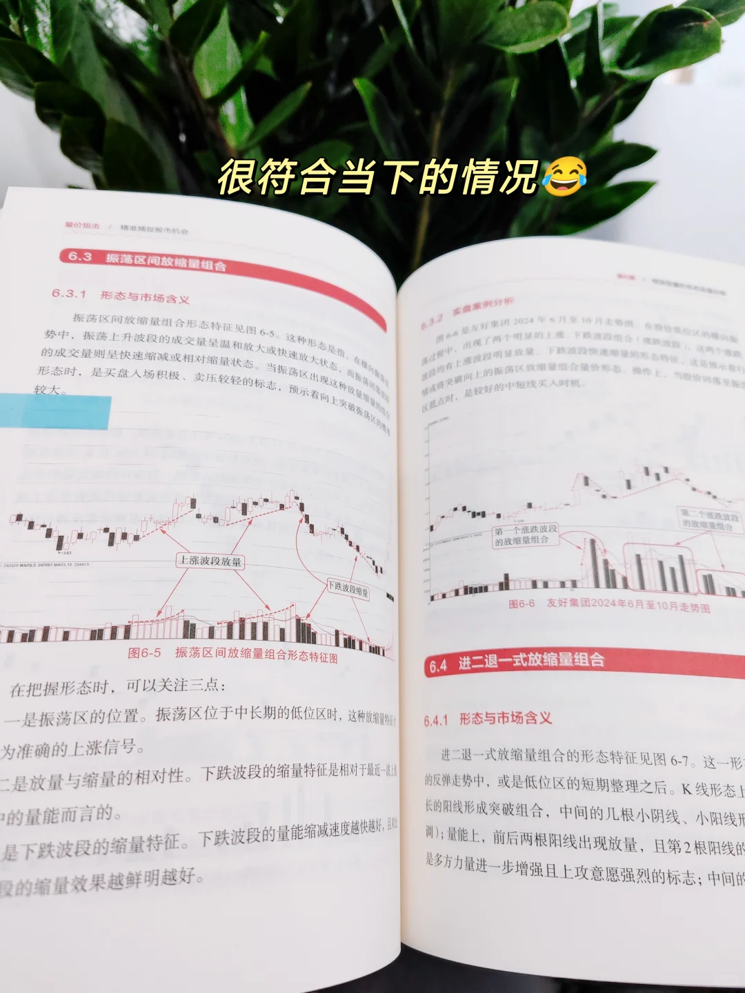 ?韭菜的自我修养:看懂量价搞懂趋势