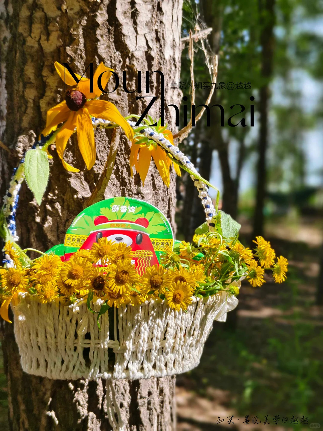 养生文案，不能只写“养生”一天一条，你要