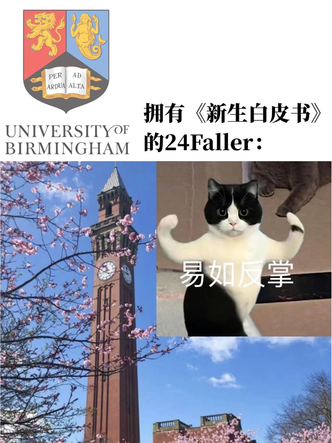 人手一份的万字伯大新生白皮书，谁还没有！