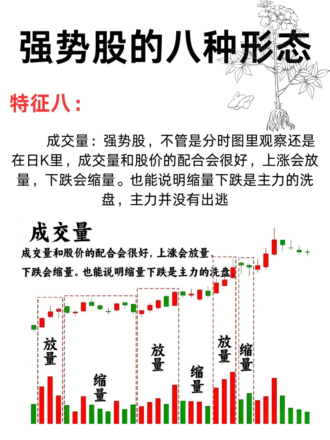 强势股的八种形态
