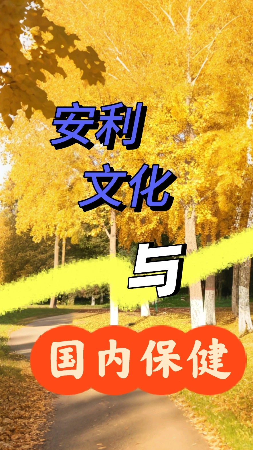 安利企业文化与中国保健市场