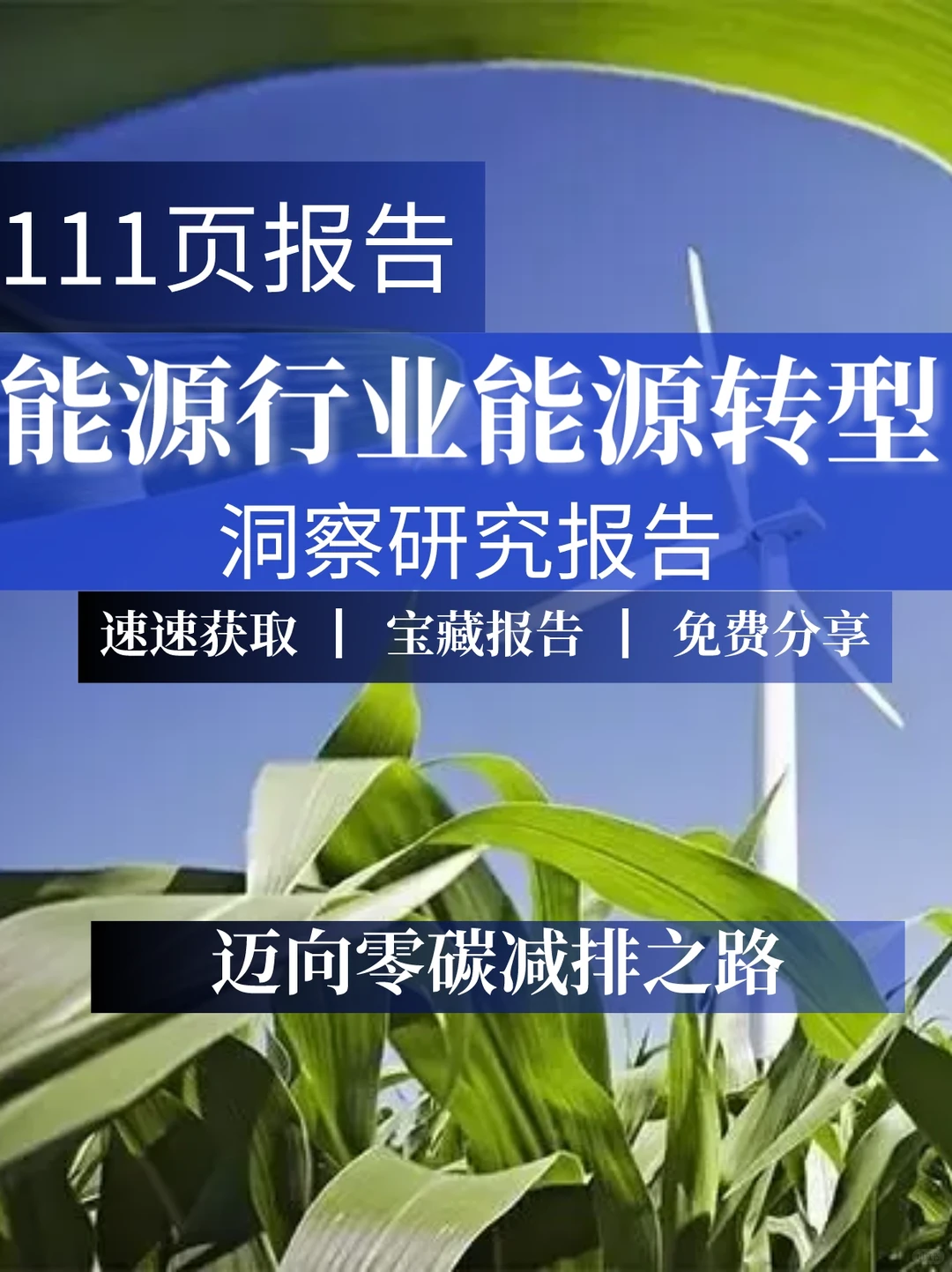 111页报告｜能源行业能源转型洞察研究报告