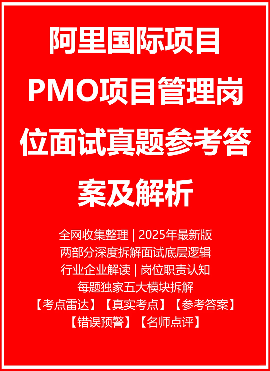 阿里国际项目PMO项目管理