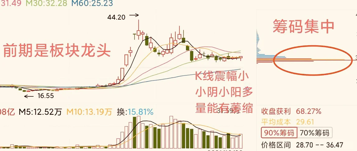 龙头股抢反弹，一月搞一次，简单高效！