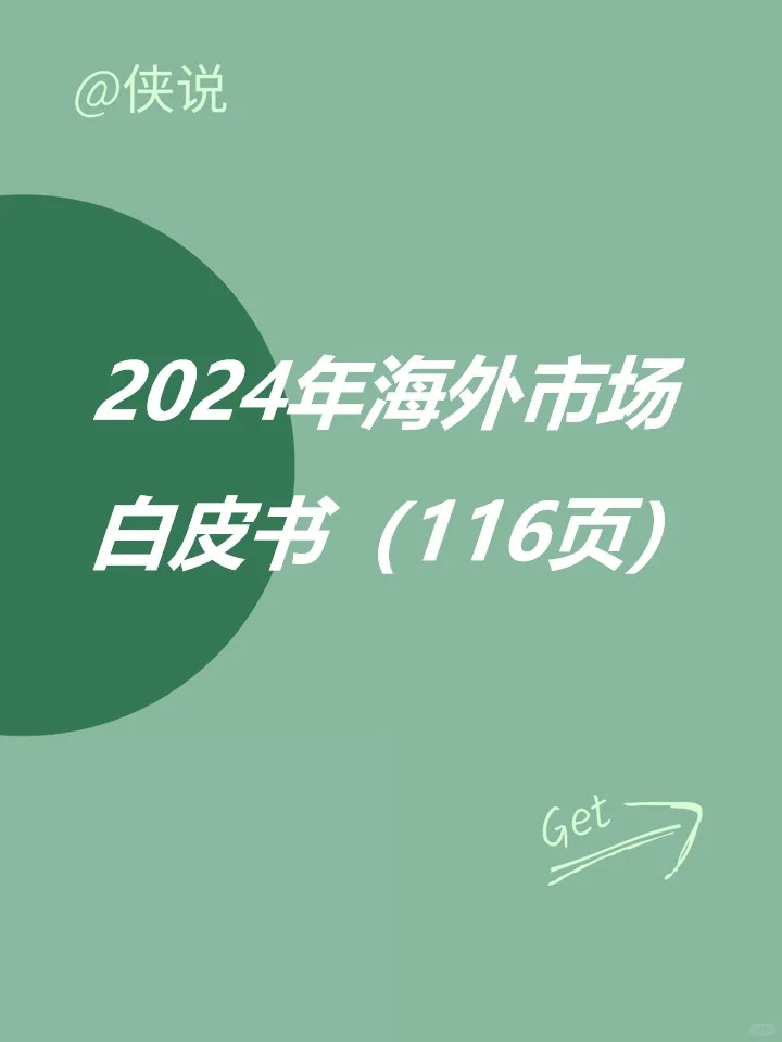 2024年海外市场白皮书（116页）