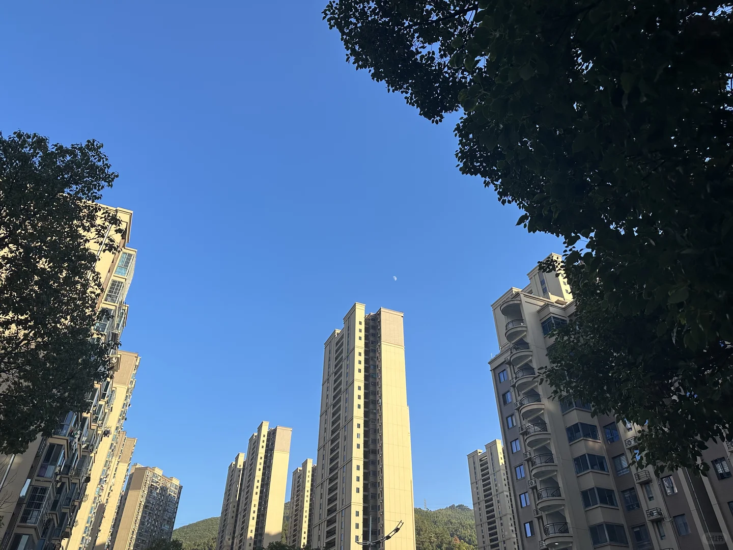 我会持续看空大厂本地生活的这个业务