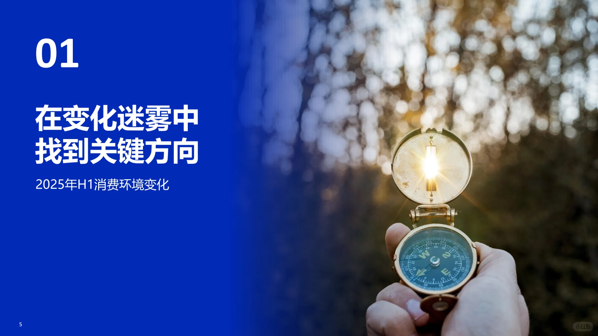 2025HI+618精简主义 消费新趋势报告