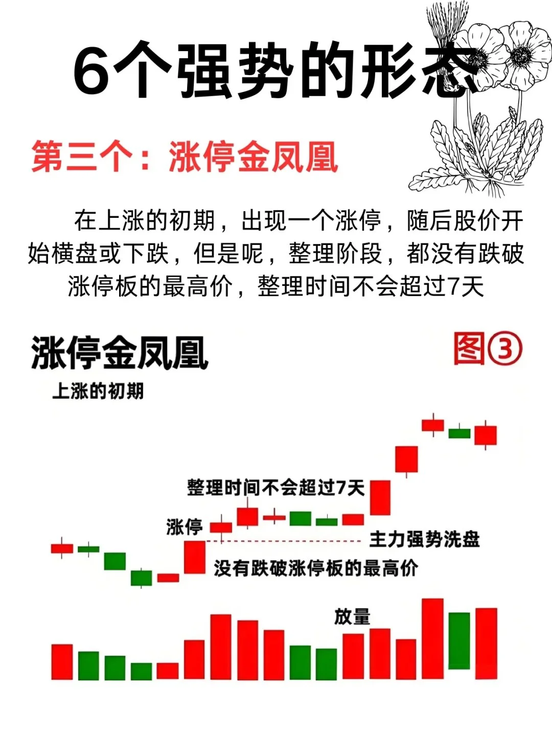 6种强势形态，遇到一定要拿好