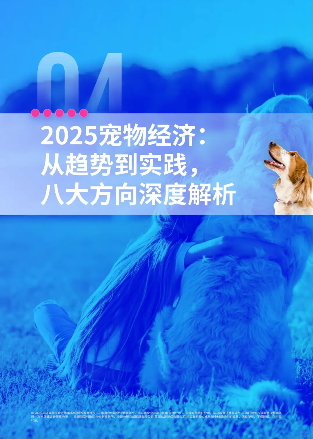 新消费-“它经济”的消费升级与市场洞察