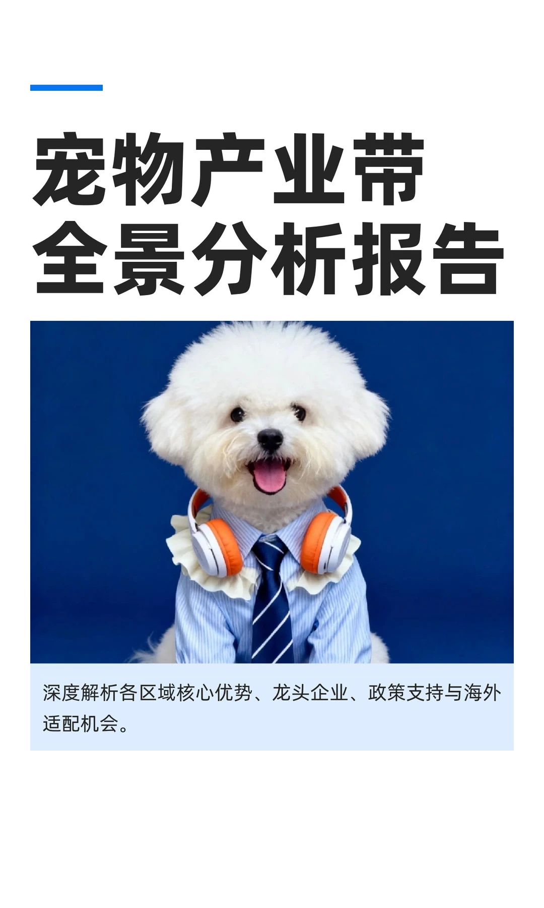 宠物产业带全景分析报告