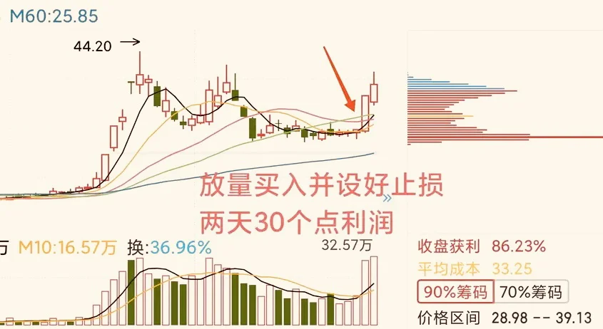龙头股抢反弹，一月搞一次，简单高效！