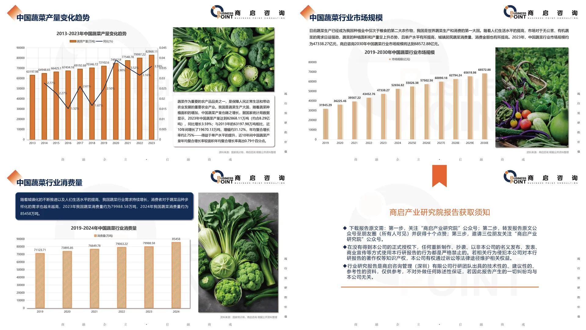 ? 商启咨询 蔬菜产业研究报告