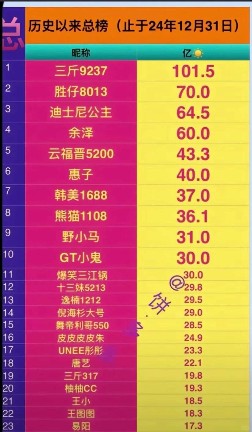 #抖音直播主播个播24年底总结#ppz#dsn#sns#