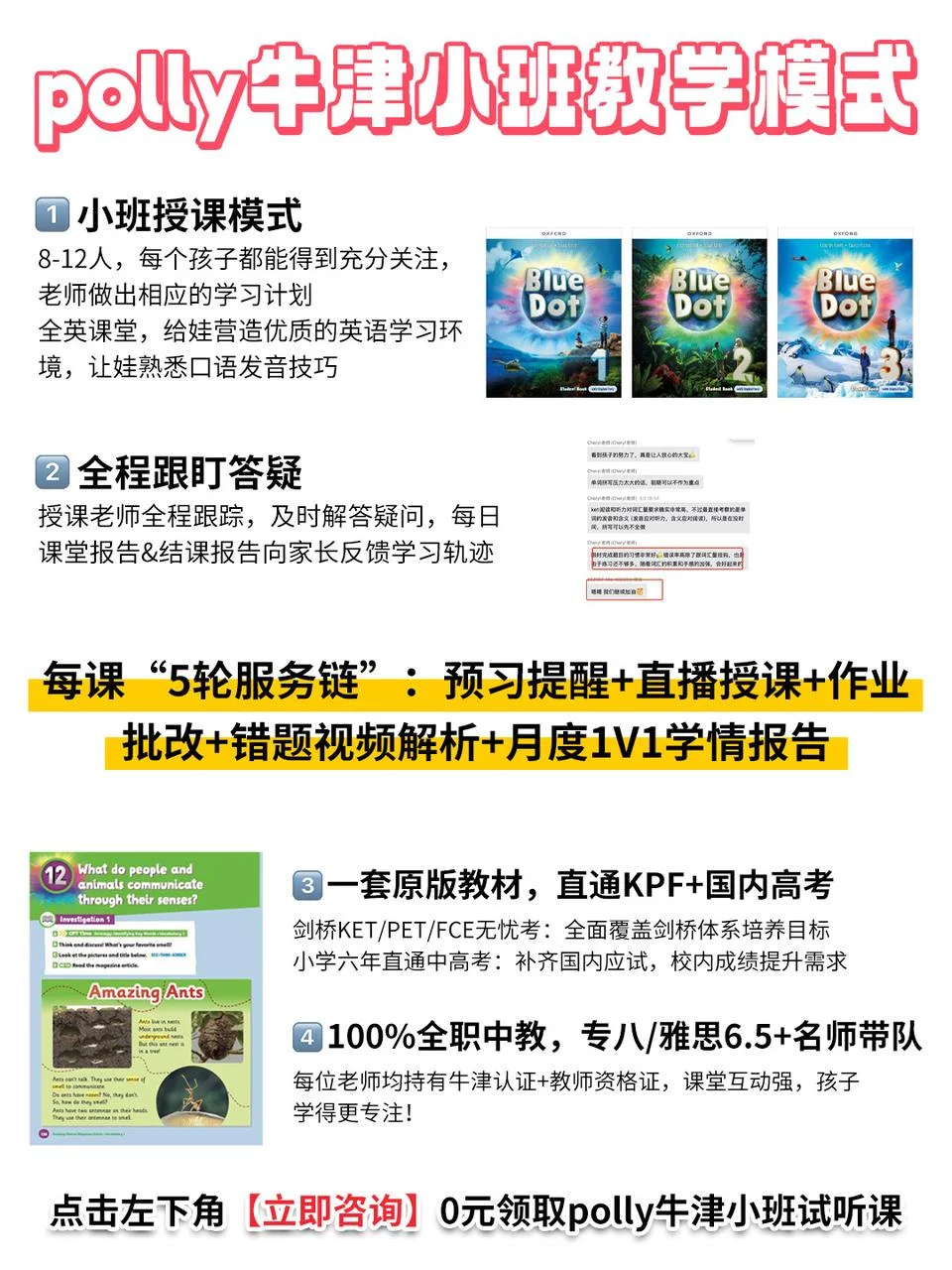 强烈建议小学英语冲polly牛津小班?