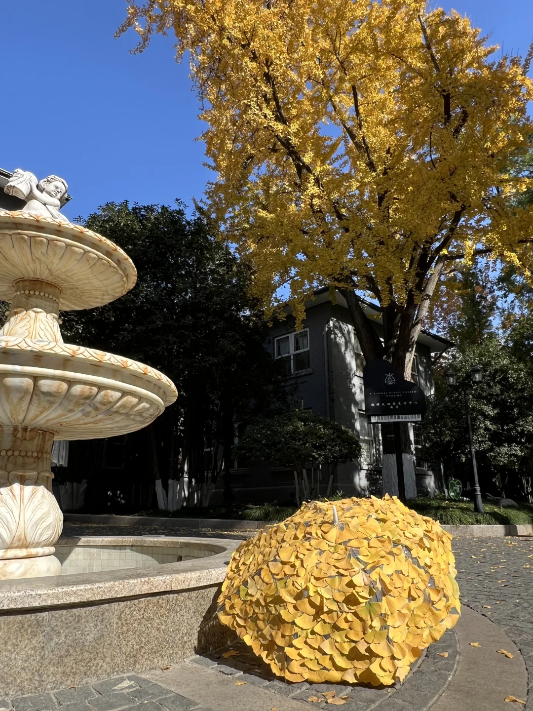 11.29实拍！南京新街口还有这种好地方！免费