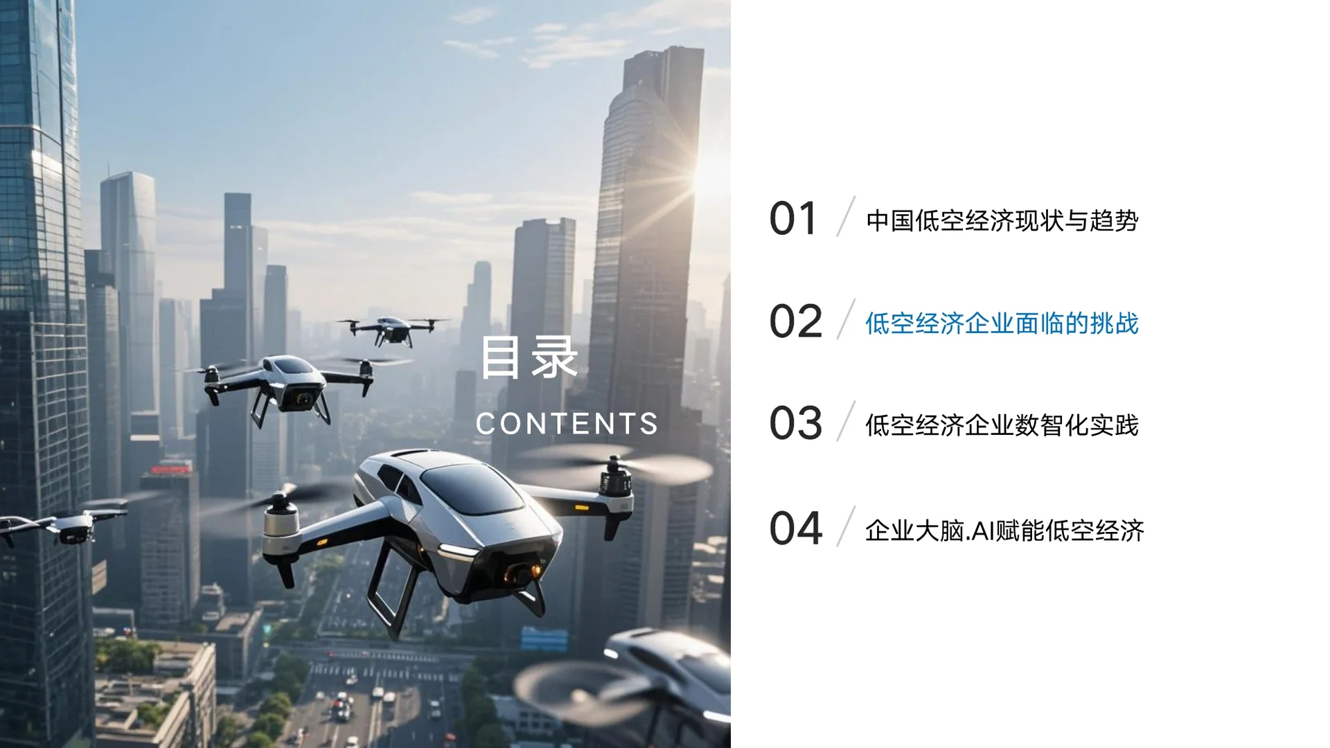 2025年企业大脑·AI赋能低空经济白皮