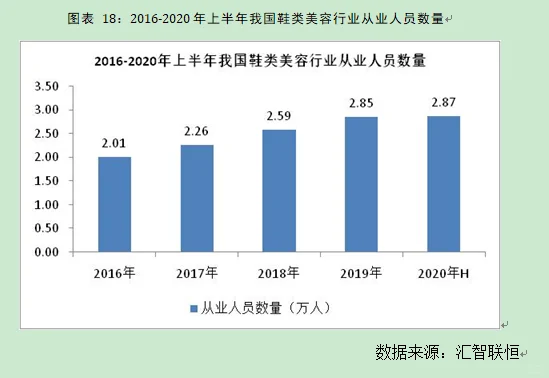 鞋类美容行业市场研究与发展前景预测报告