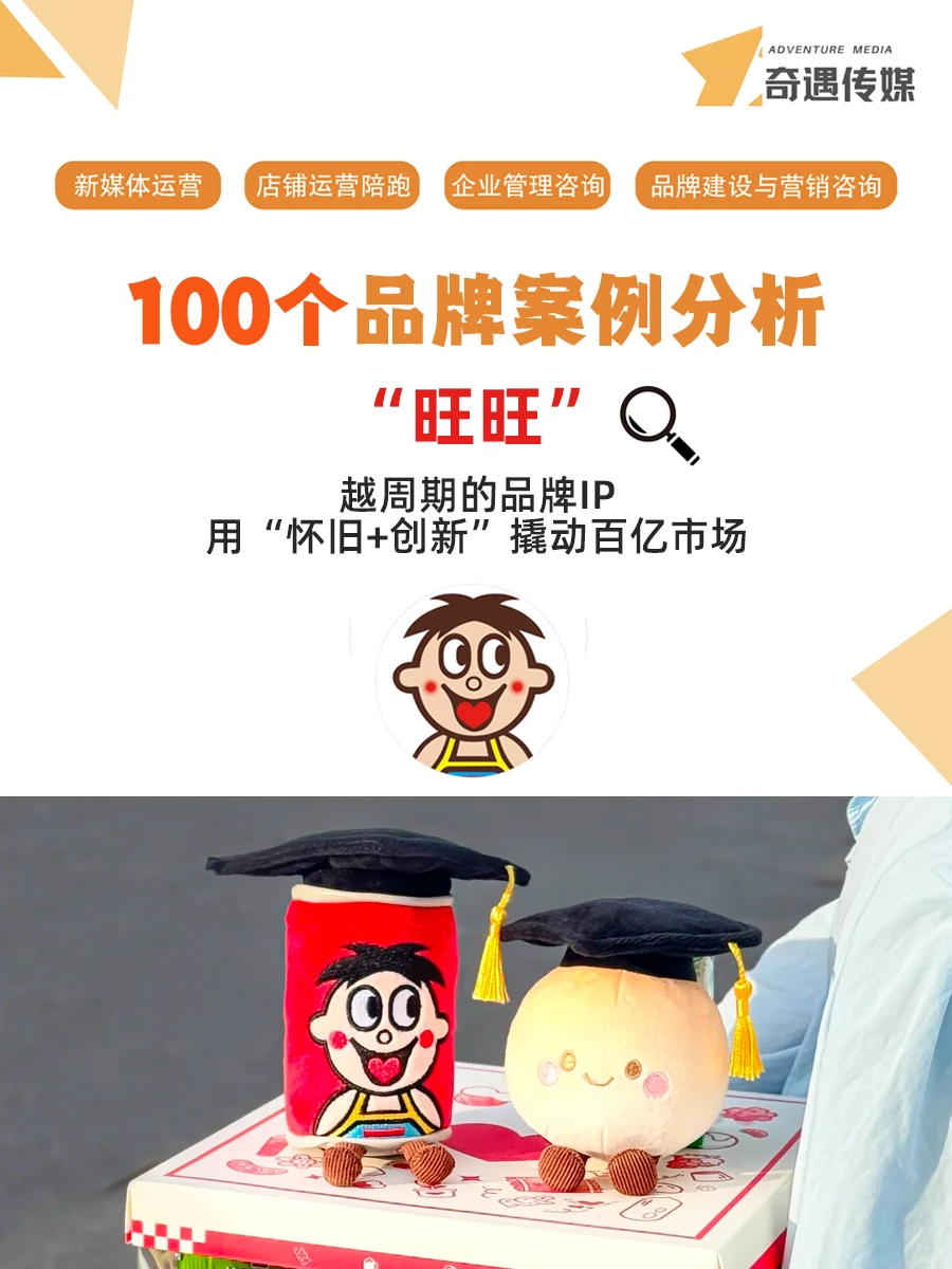 100个品牌案例分析——旺旺