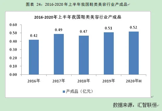 鞋类美容行业市场研究与发展前景预测报告