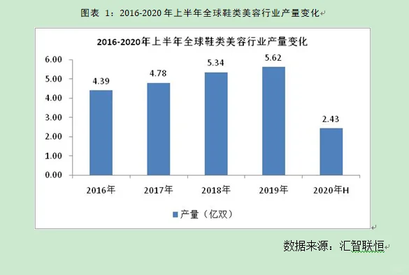 鞋类美容行业市场研究与发展前景预测报告