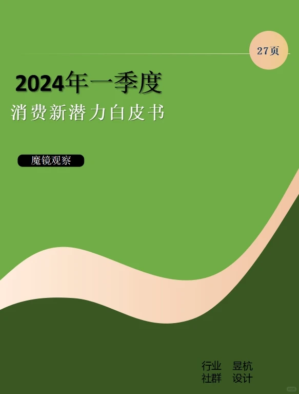 2024年一季度消费新潜力白皮书
