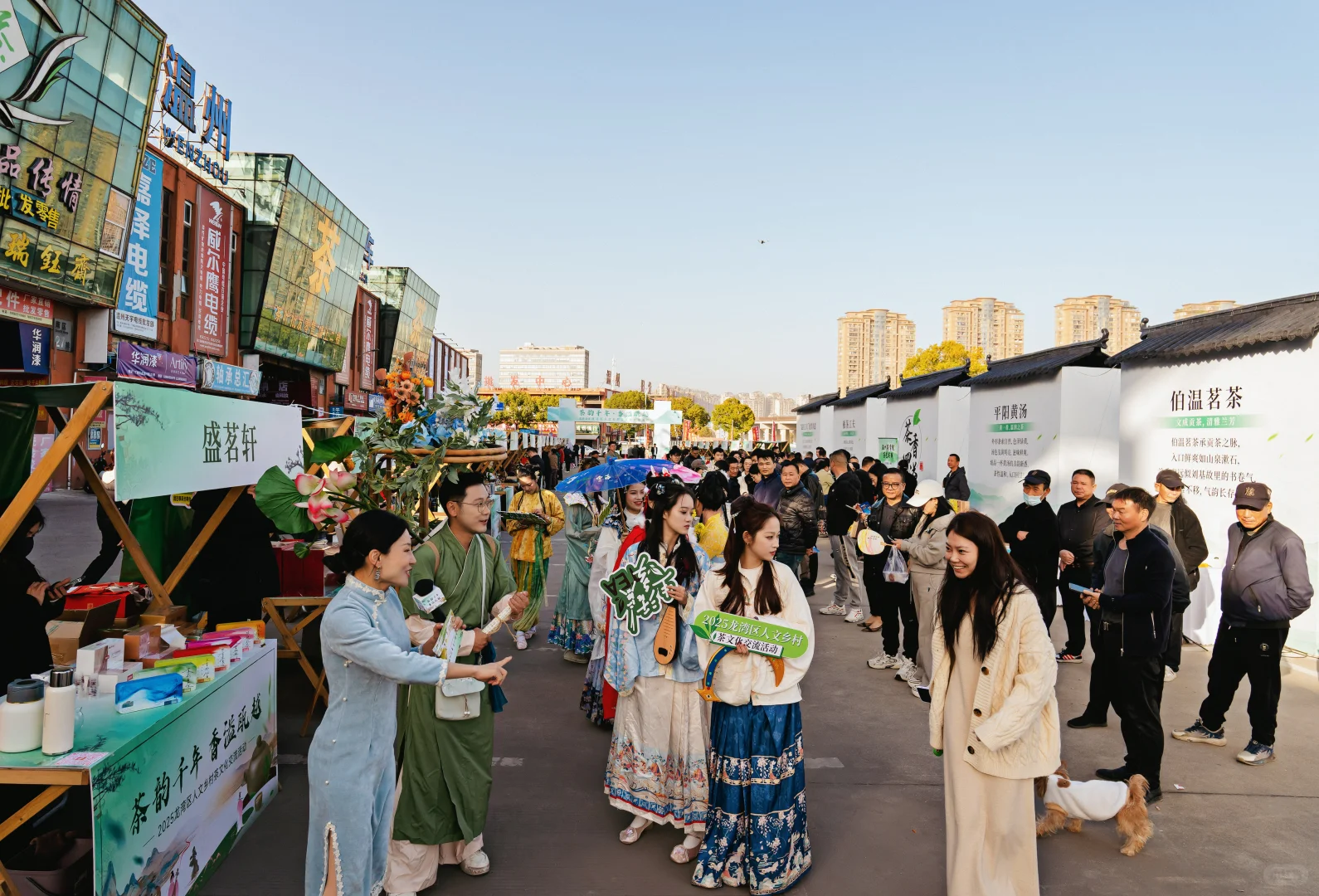 沉浸式茶文化体验,在龙湾“泡”出来了!