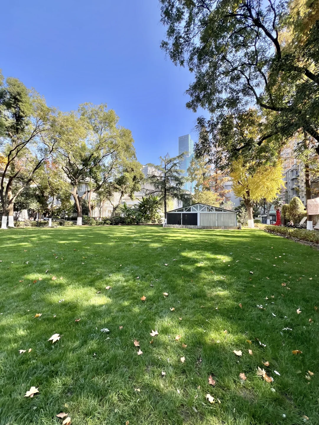 11.29实拍！南京新街口还有这种好地方！免费