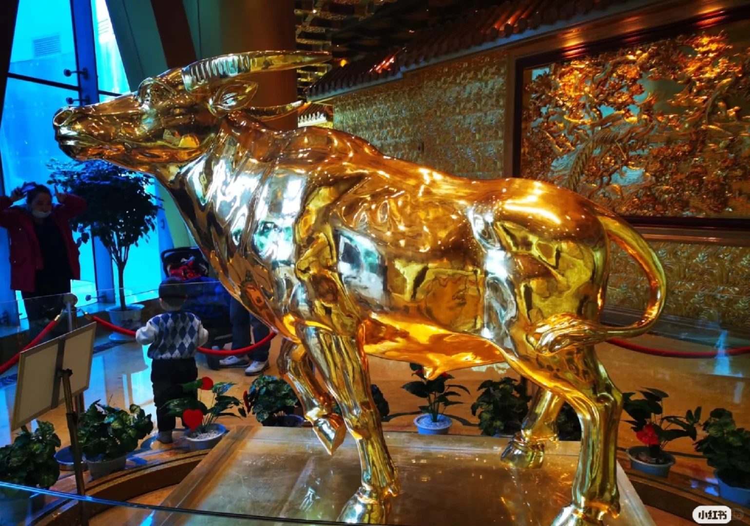 不拉群。不收费。每天分享策略