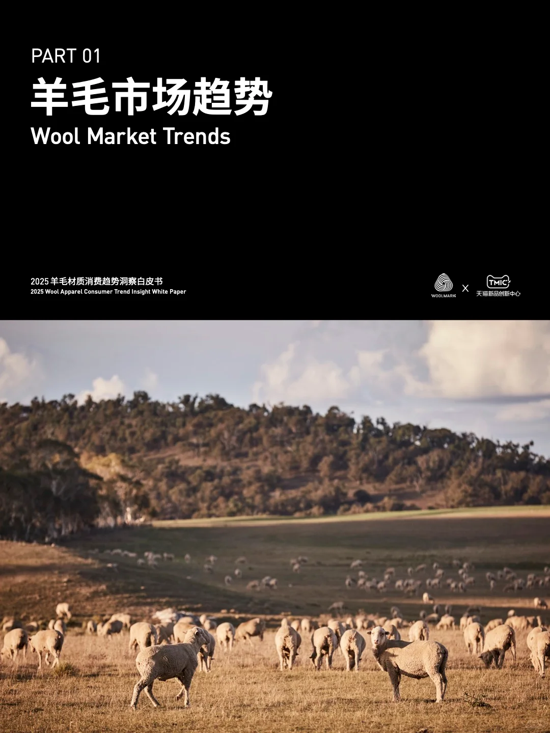 羊毛消费爆发式上升 中国市场成全球潜力王