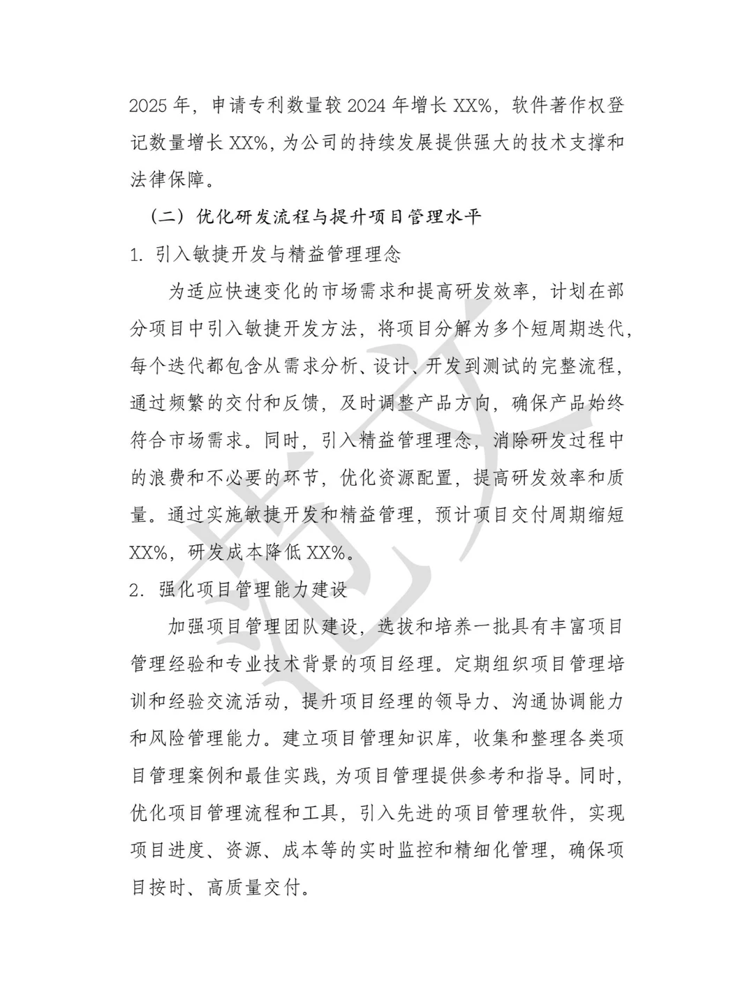 2024年度工作总结与2025年发展规划