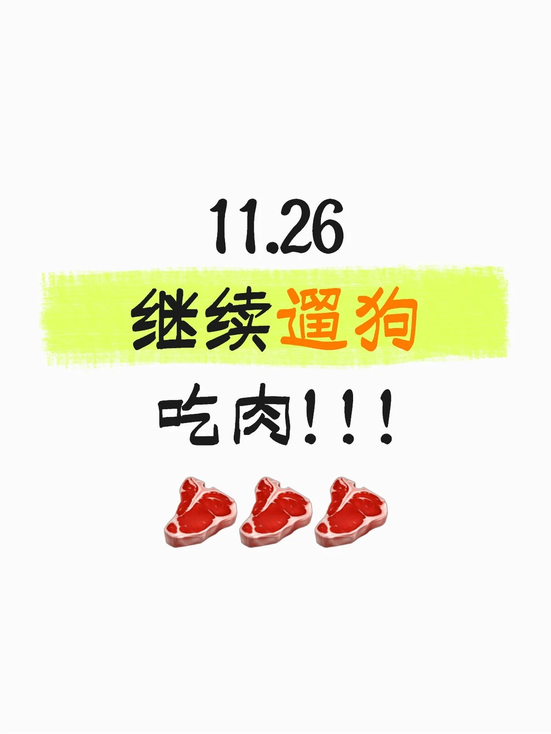 11.26继续遛狗吃肉