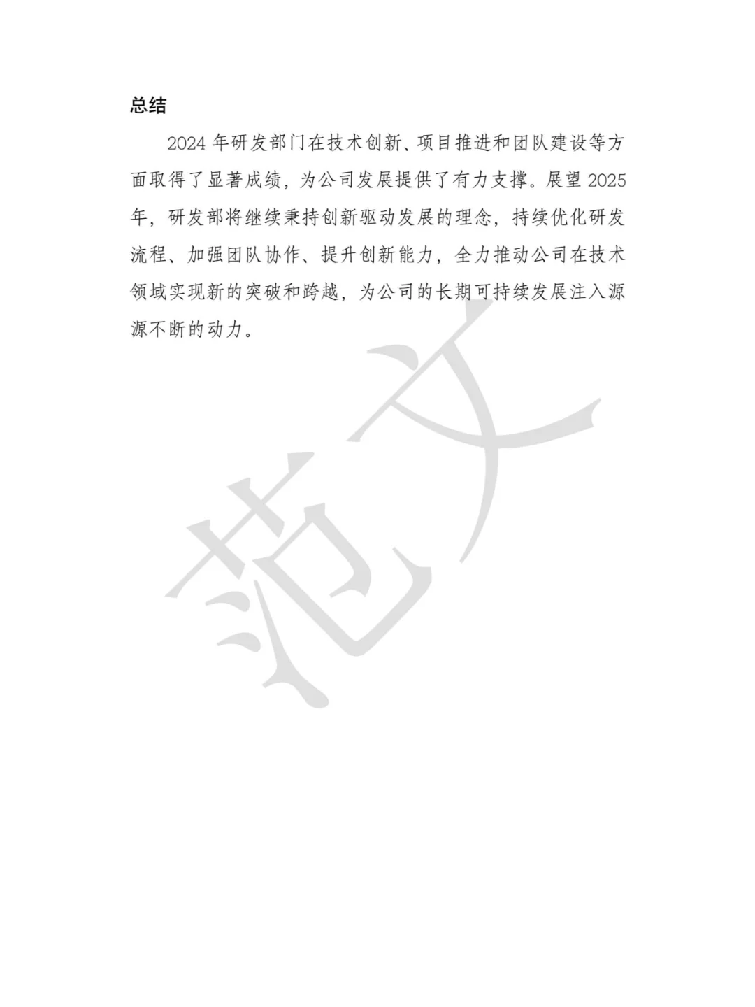 2024年度工作总结与2025年发展规划