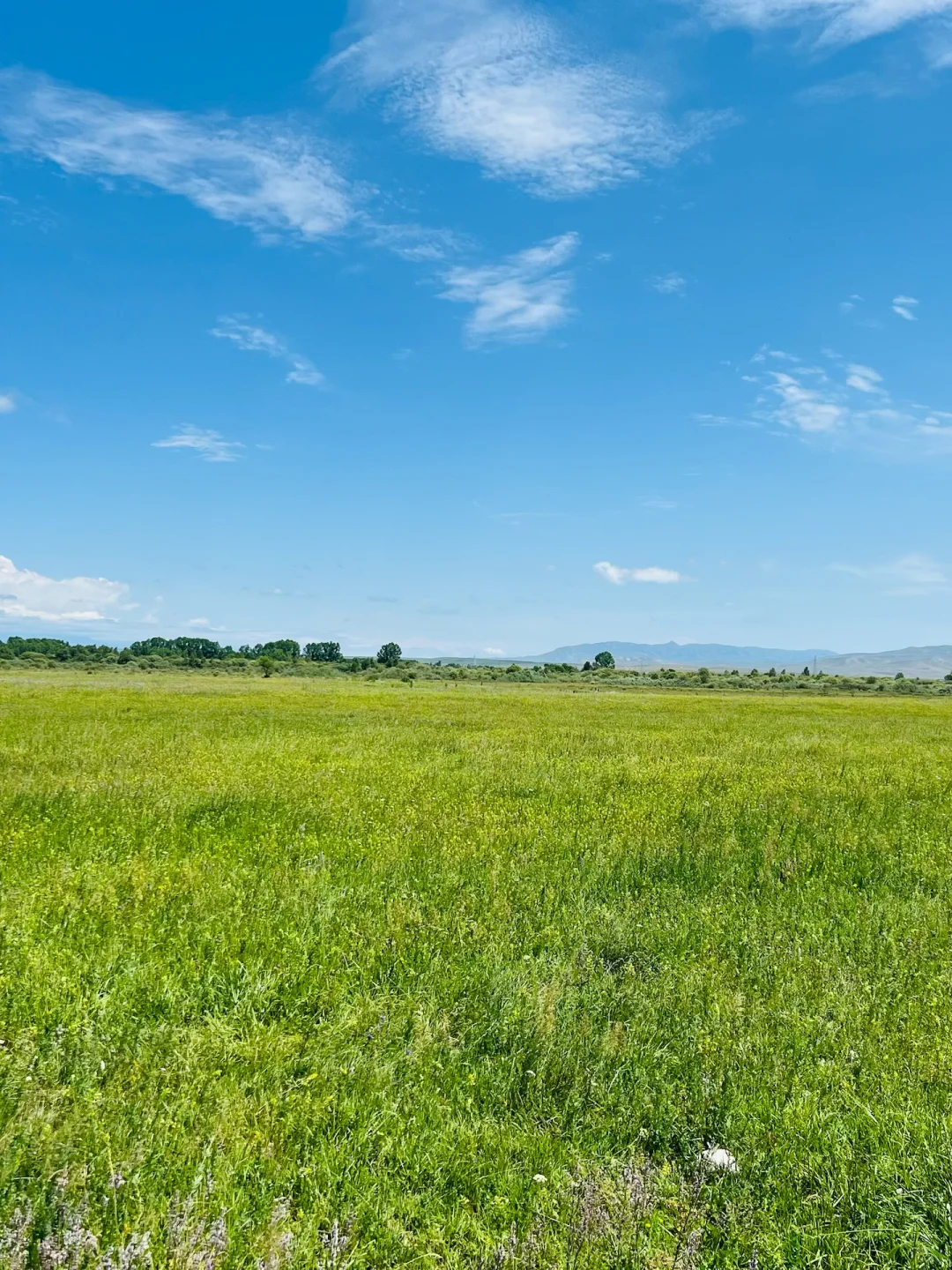 前咨询人盘盘如何快速了解一个行业