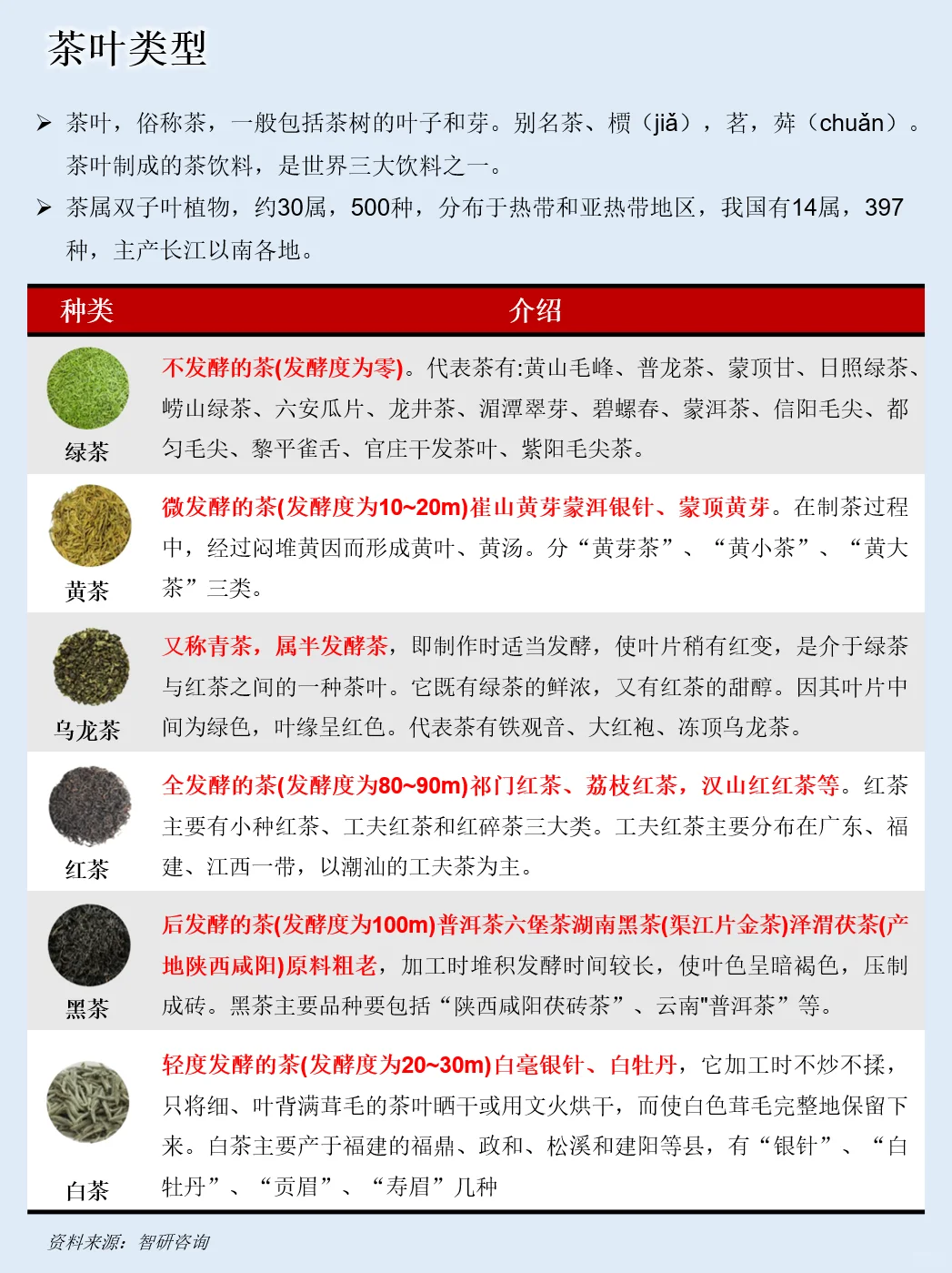 一天吃透一条产业链：NO.123 茶叶产业