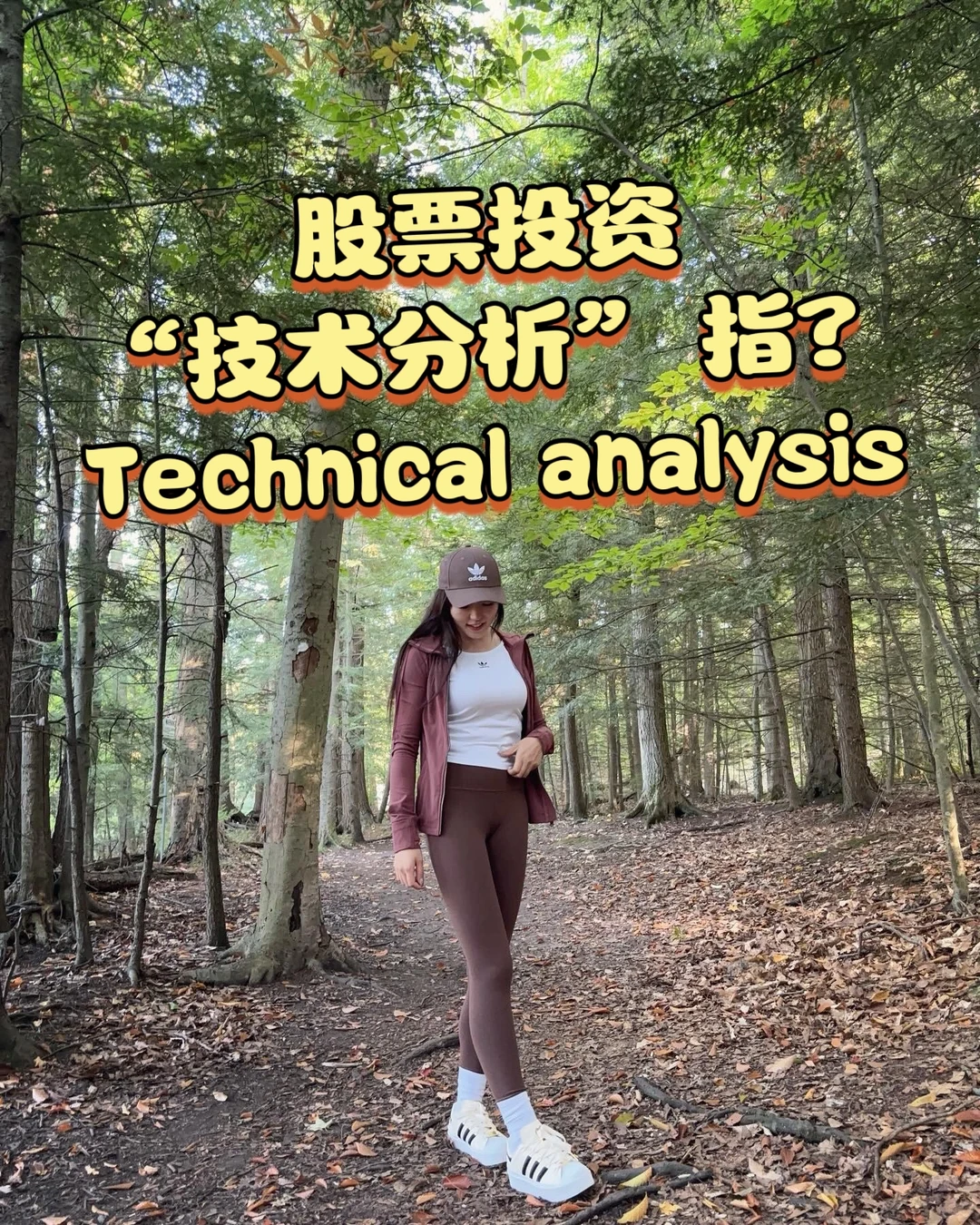 股票投资,“技术分析” 是指什么?