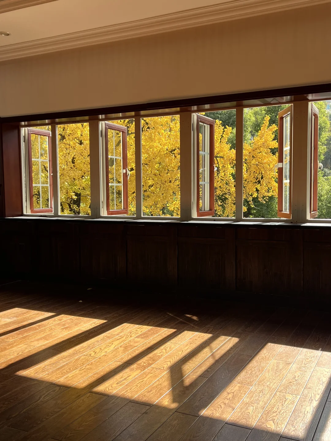 11.29实拍！南京新街口还有这种好地方！免费