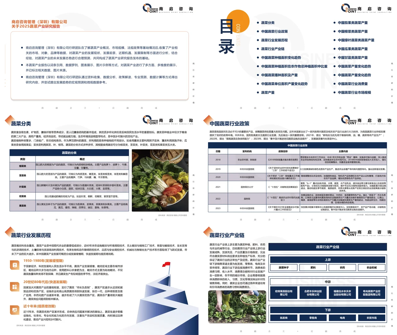? 商启咨询 蔬菜产业研究报告