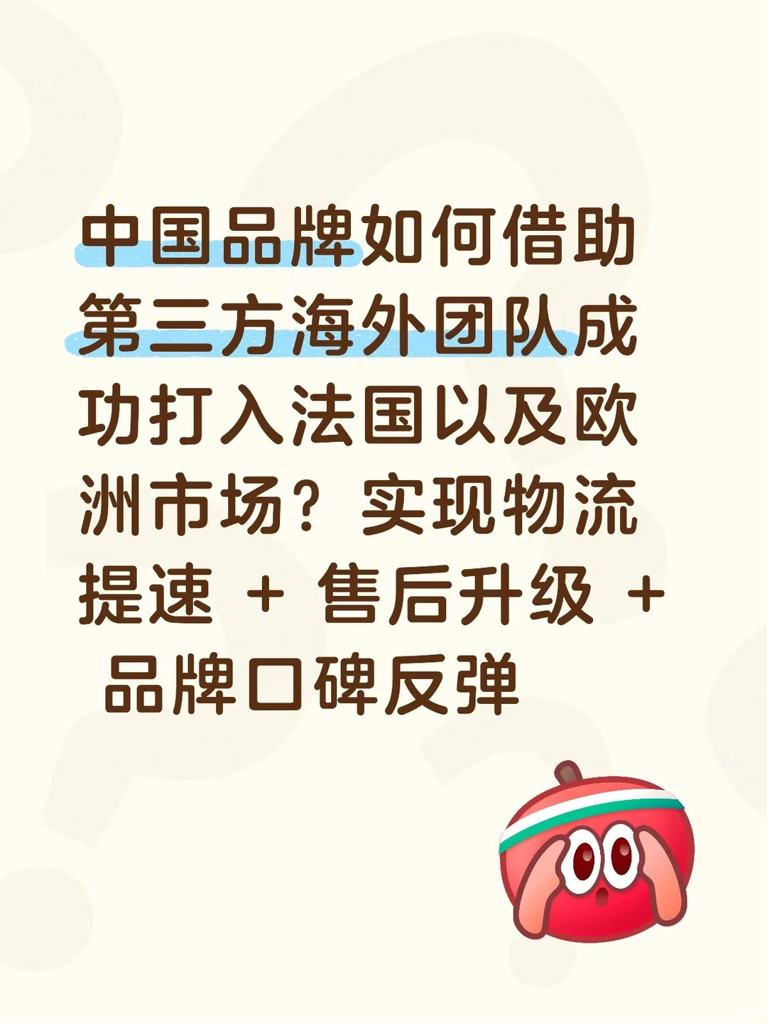 品牌方 × 法国海外仓与本地团队服务案例分