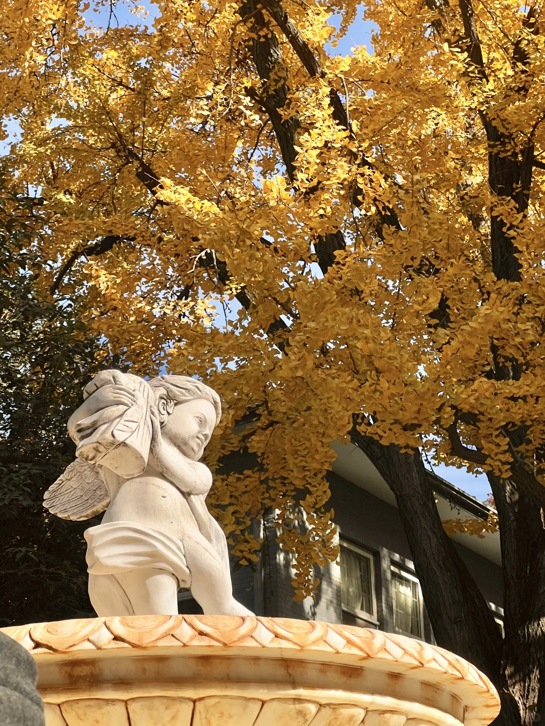 11.29实拍！南京新街口还有这种好地方！免费