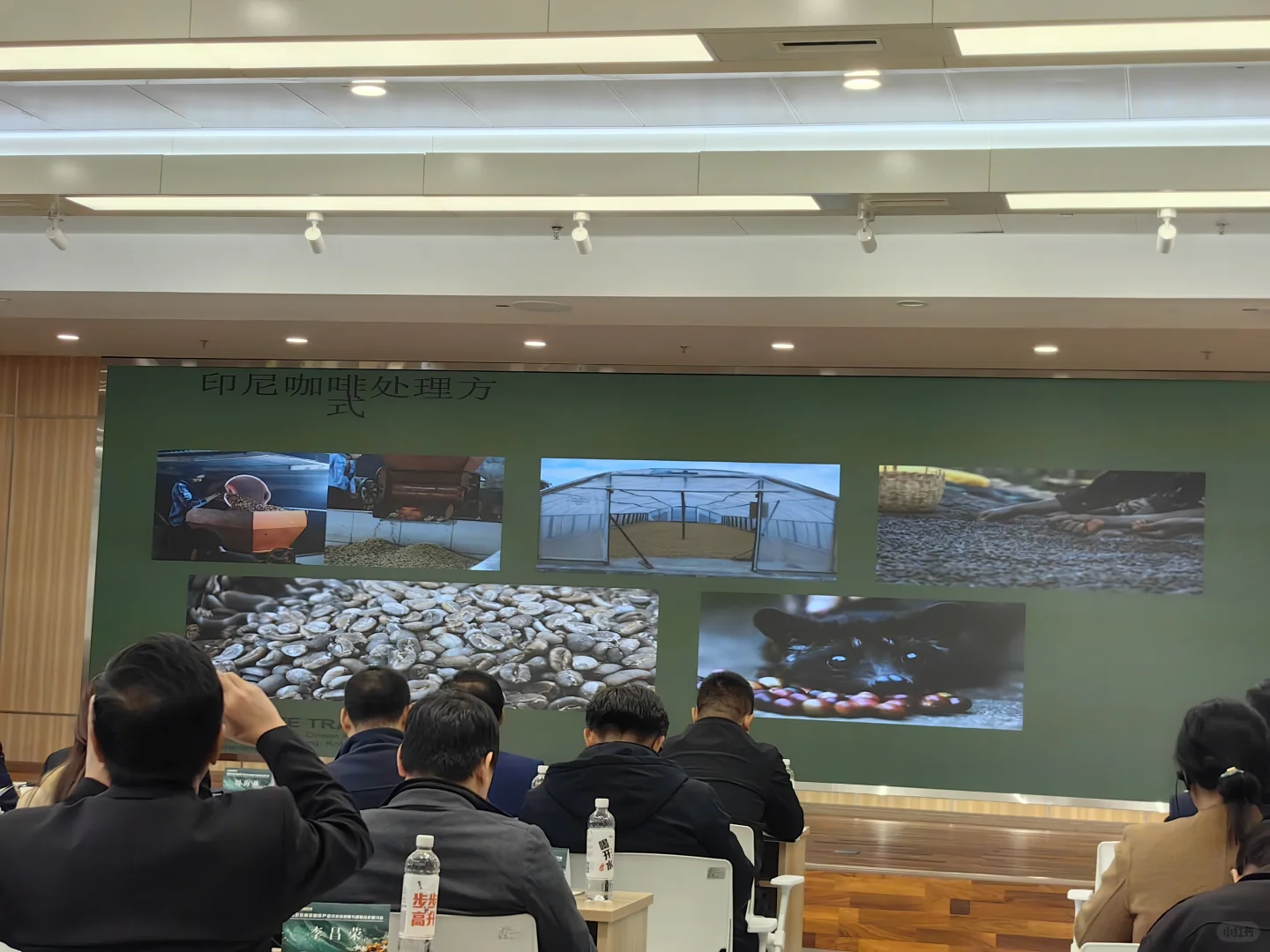 南亚东南亚咖啡发展论坛总结