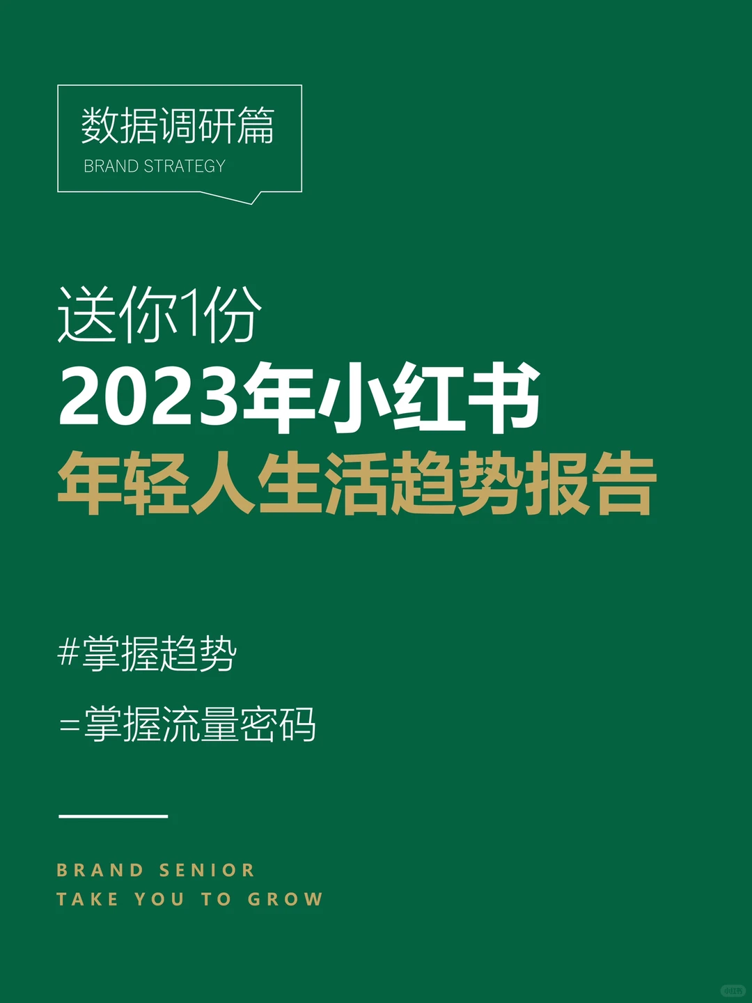 ?行业报告｜小红书年轻人生活趋势！