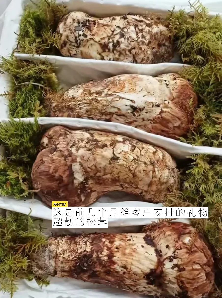 私行顾问 | 客户关系到底该如何维护