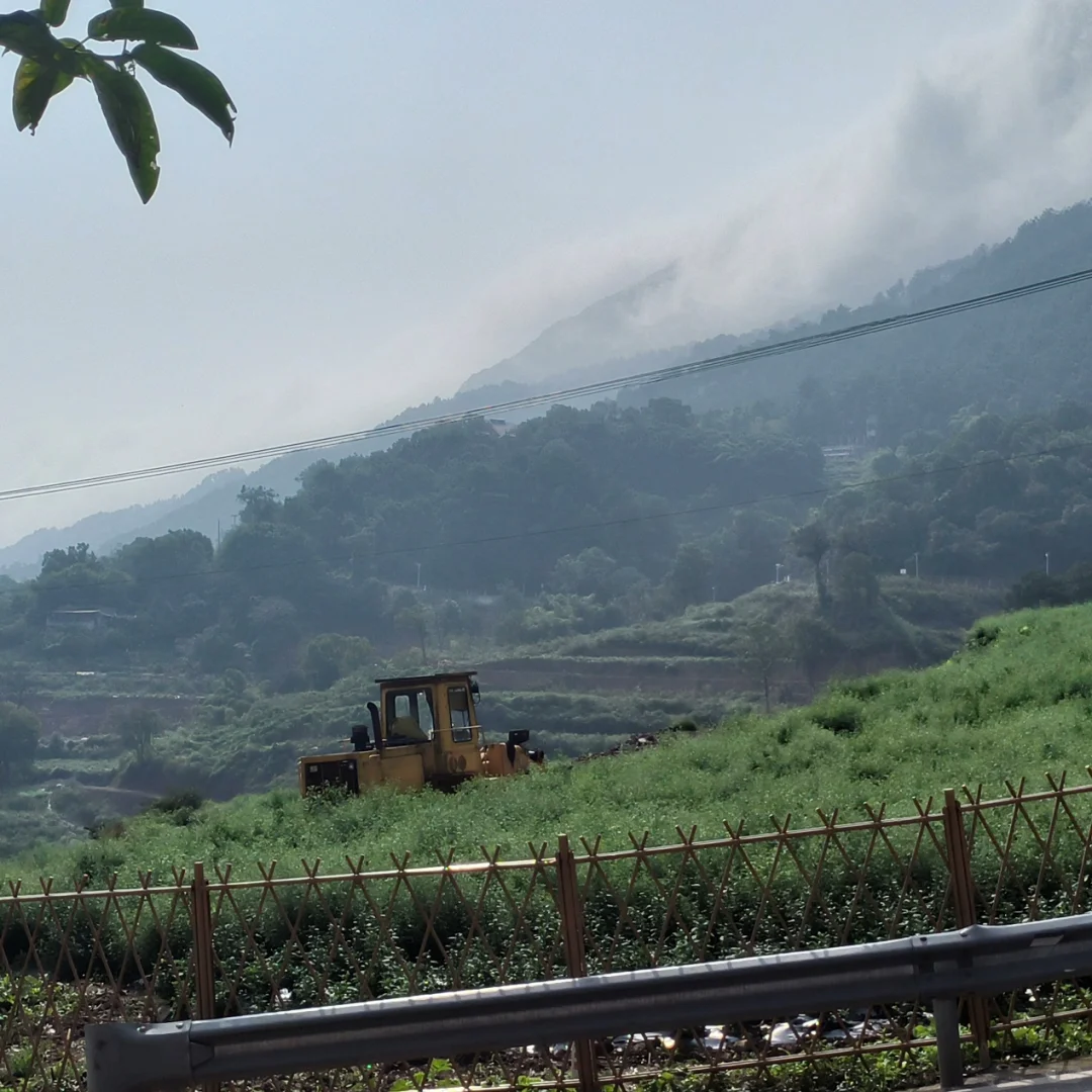 法学种田人：“本草花创谷”新玩法