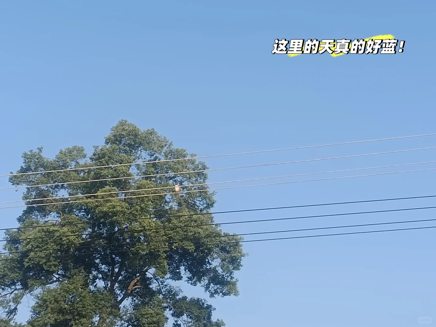 00后进军农业行业的第一年