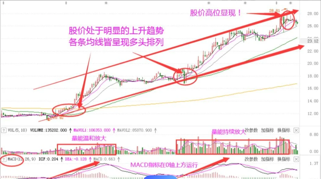如何写好大学生证券投资实验报告