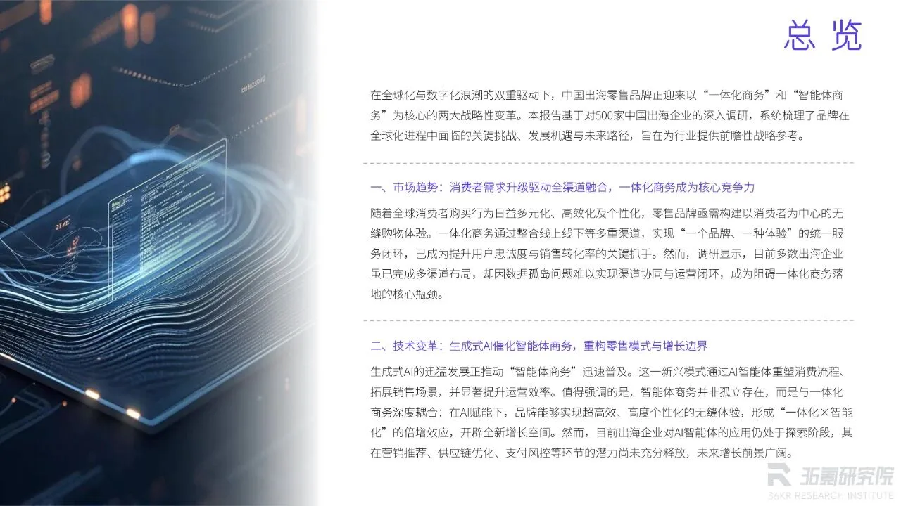 2025年中国出海零售品牌调研报告