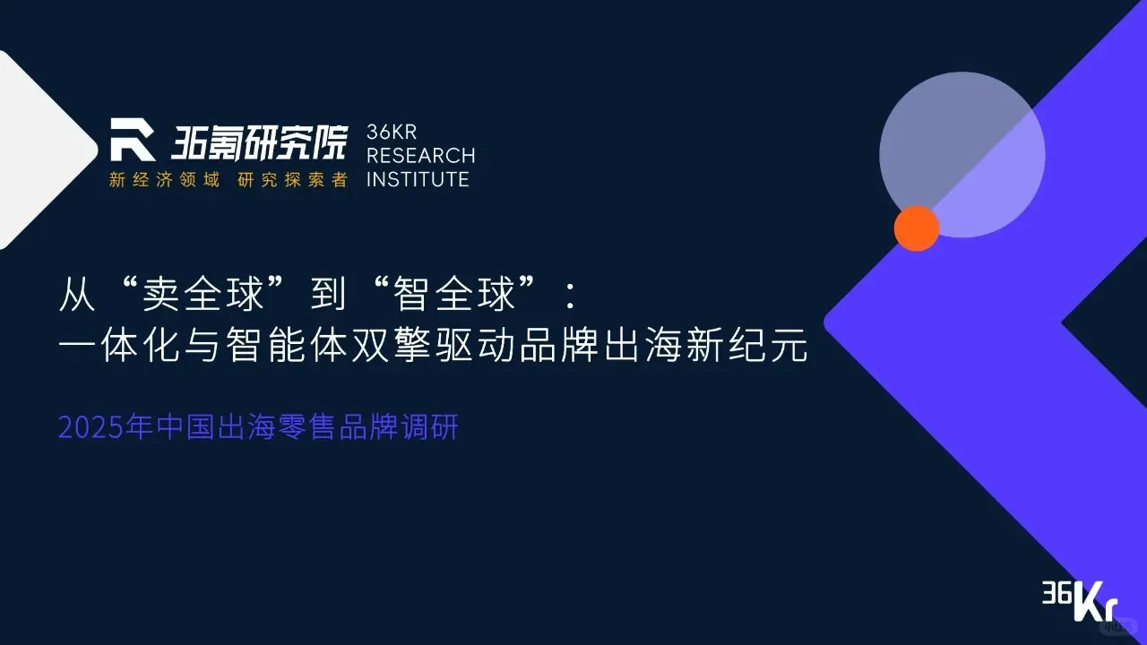 2025年中国出海零售品牌调研报告