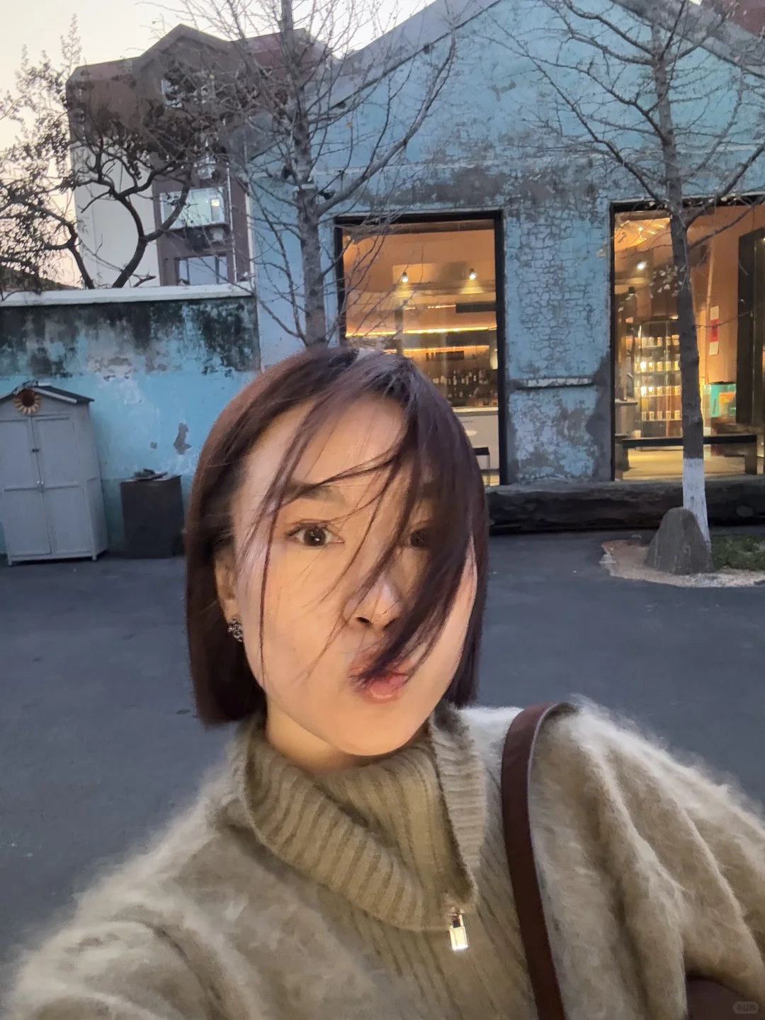 才感秋来 忽而已冬