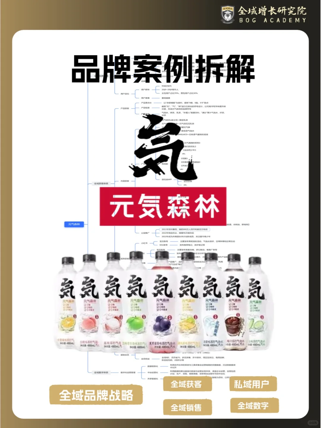 品牌案例 | 元气森林的全域增长模式分析